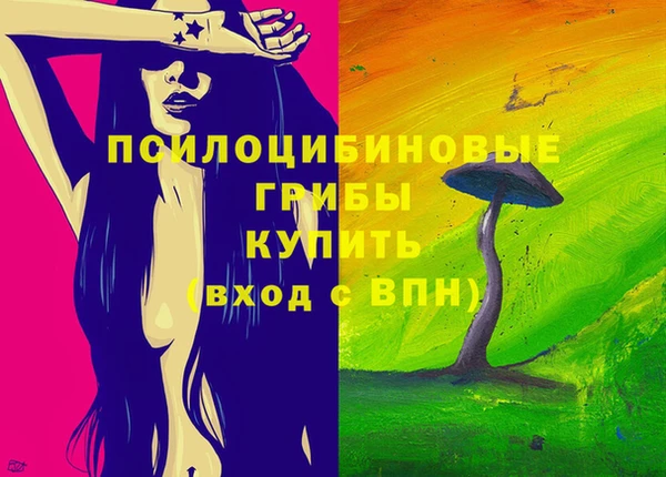 ECSTASY Саяногорск
