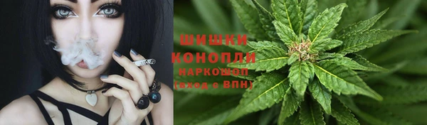 шишки Абинск