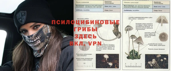 каннабис Абаза
